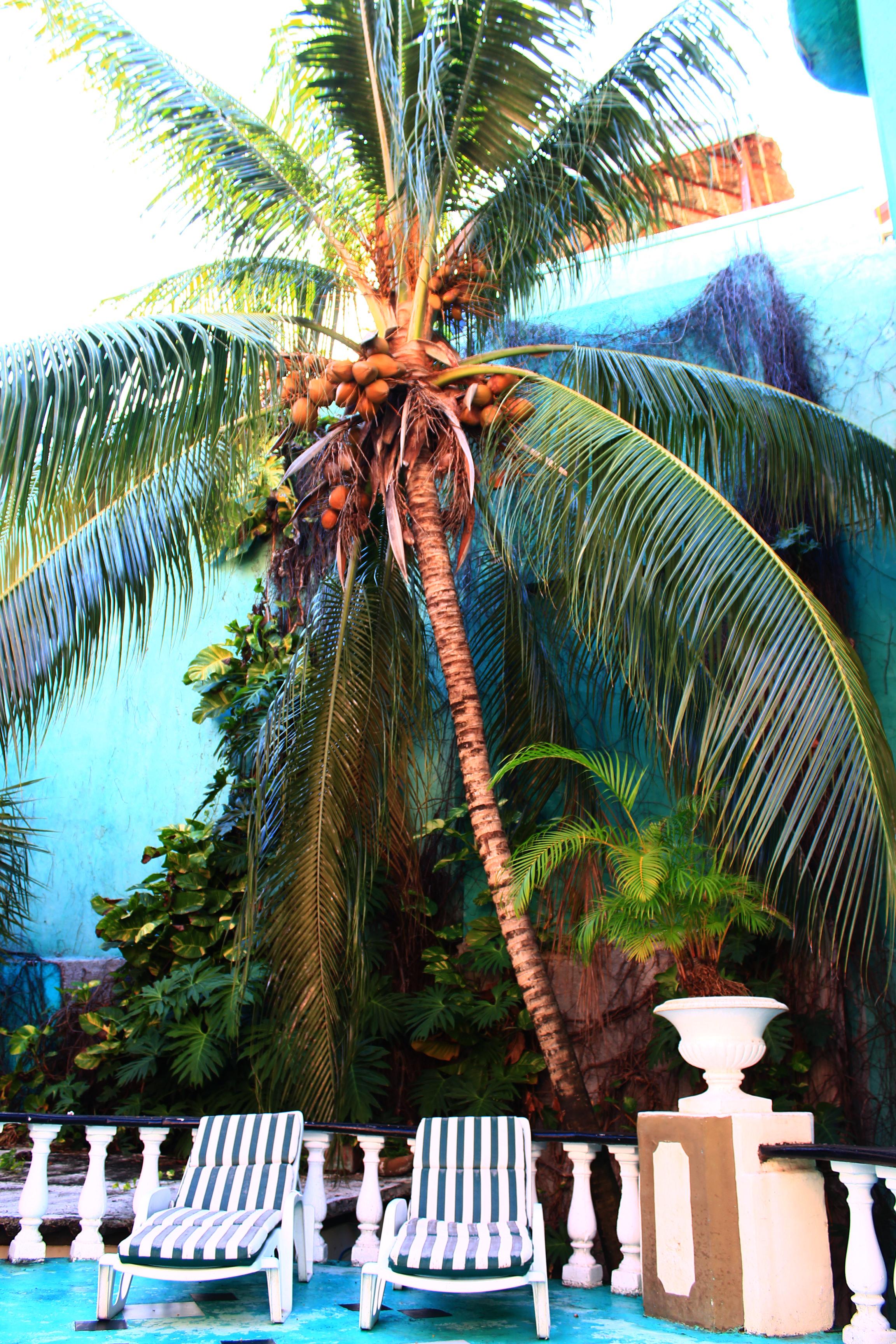 Maya Del Mar On Fifth Avenue Playa del Carmen Bagian luar foto